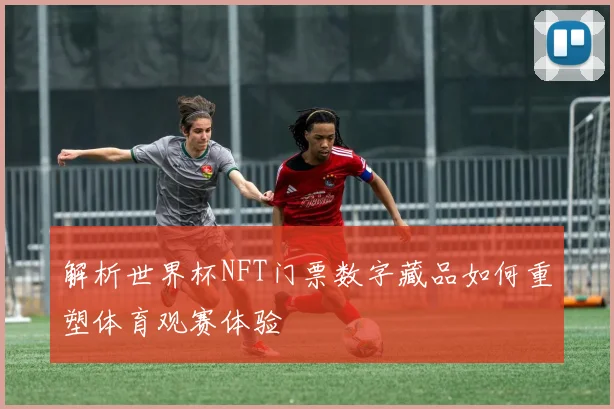 解析世界杯NFT门票数字藏品如何重塑体育观赛体验