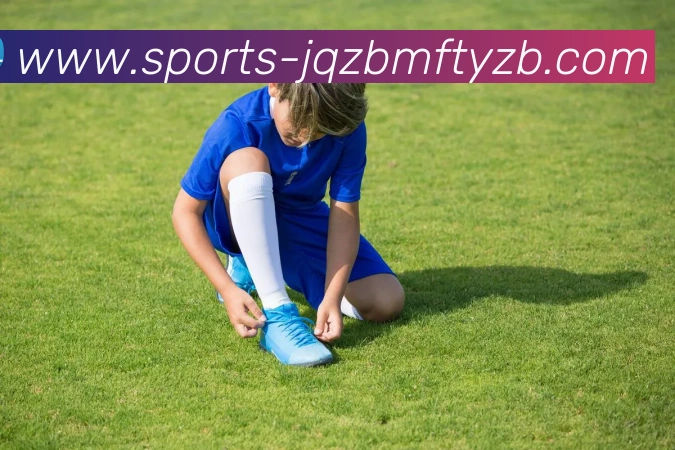 九球体育直播平台生态图