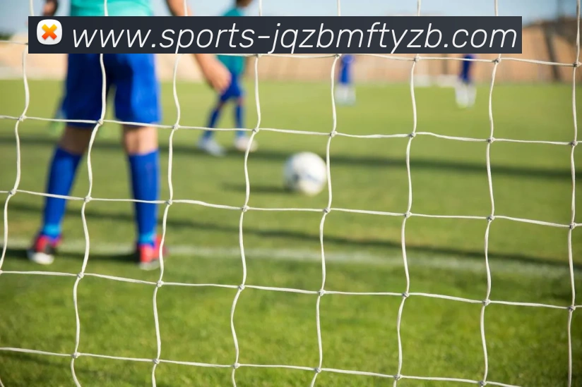 九球体育直播APP 封面图